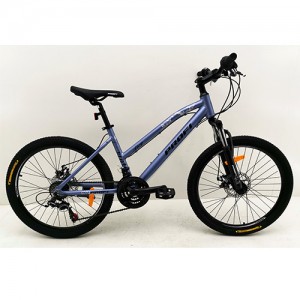 Велосипед горный MTB Profi AIRY 24 дюйма, рама 15", металлик (G24AIRY A24.2)