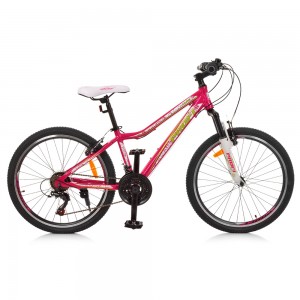 Велосипед горный MTB Profi CARE 24 дюйма, рама 13,5", малиновый (G24CARE A24.1)