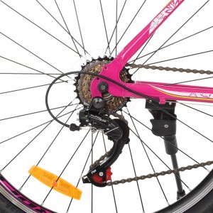 Велосипед гірський MTB Profi CARE 26 дюймів, рама 17,5 ", малиновий (G26CARE A26.1)