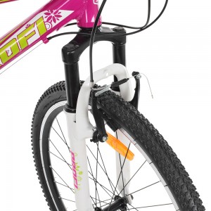 Велосипед горный MTB Profi CARE 26 дюймов, рама 17,5", малиновый (G26CARE A26.1)
