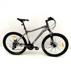 Велосипед горный MTB Profi PHANTOM 26 дюймов, рама 19", серый (G26PHANTOM A26.1)