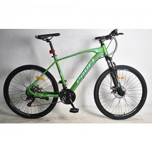 гірський Велосипед MTB Profi VELOCITY 26 дюймів, рама 19", зелений (G26VELOCITY A26.1)