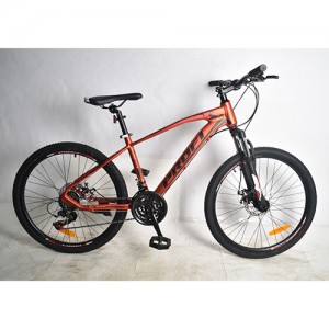 гірський Велосипед MTB Profi VELOCITY 26 дюймів, рама 19", червоний (G26VELOCITY A26.2)