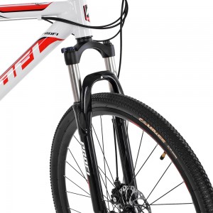 Велосипед найнер Profi BASIS 29 дюймов, рама 19.5", белый (G29BASIS A29-1)