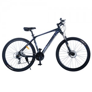 Велосипед найнер Profi GRAND 29 дюймов, рама 19", черный (G29GRAND A29-1)