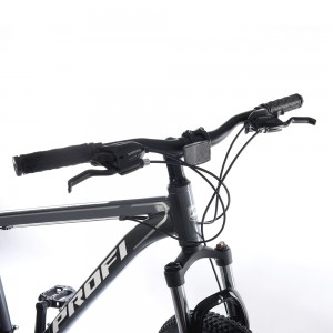 Велосипед найнер Profi EVEREST 29 дюймов, рама 19", черный (G29EVEREST A29.2)