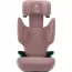 Автокресло Britax-Romer Discovery Plus Isofix розовый