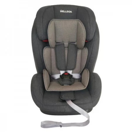 Автокресло Welldon Encore графит BS07-S95-001 Автокресло Welldon Encore графит BS07-S95-001