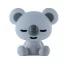 Світильник-нічник LED з акумулятором Koala білий, Kite K24-491-2-1