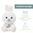 Игрушка-ночник музыкальная "Кролик Dreamlight" арт. 11456.00 Игрушка-ночник музыкальная "Кролик Dreamlight" арт. 11456.00