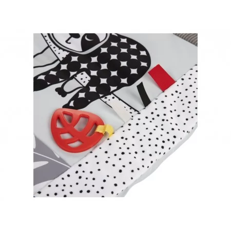 Игрушка Коврик для игр на животике BabiesBoo Canpol Babies 68/094 Игрушка Коврик для игр на животике BabiesBoo Canpol Babies 68/094