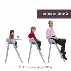 Стільчик для годування 3 в 1 Crescendo Up арт. 87046.07.00 колір Сірий