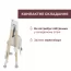 Стульчик для кормления Polly Armonia арт. 87140.60 цвет Зеленый