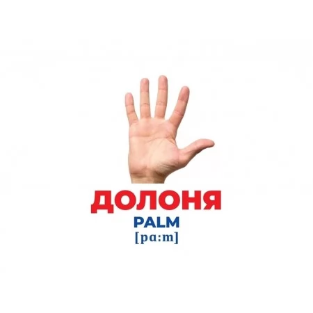 Гений с пеленками Телосложение Ранок 10107202У 468159