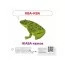 Звукоподражание Животные QR Ранок КН1662002У 476135
