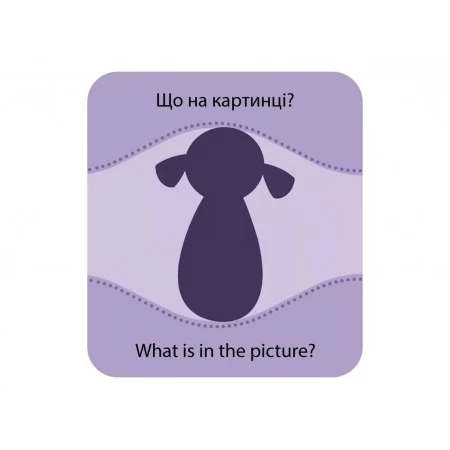 Игра с силуэтами Игрушки Ранок КН1682001У 494643