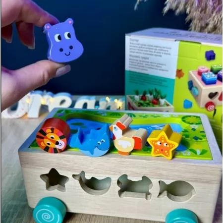 Деревянная каталка WToys 22995 логическая для детей