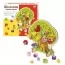 Деревянная шнуровка WToys 43929 для развития моторики