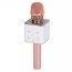 Мікрофон Q7 25см, акум, USBвхід, Bluetooth, USBзарядне, мікс кольорів, в кор-ці, 9-26-8см