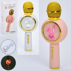 Детский микрофон BabyToys X6 со светом, USB зарядка