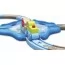 Игрушечная железная дорога Hape Подводный мир 15 эл. E3827 Игрушечная железная дорога Hape Подводный мир 15 эл. E3827