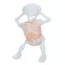 Робот-скелет BabyToys 6053A со звуком и светом, 21см