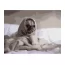 Набір для розпису по номерах Закутаний мопсик 40х50 см, Strateg DY078
