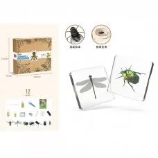 Набор для творчества с насекомым BabyToys FG231102006M