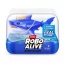 Інтерактивна іграшка ROBO ALIVE S1 – РОБОАКУЛА синій