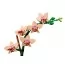 Конструктор LEGO Botanicals Мініорхідея, 274 деталі 10343