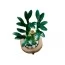 Конструктор LEGO Botanicals Бамбук счастья, 325 деталей 10344