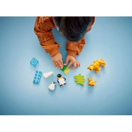 Конструктор LEGO DUPLO Town Семейства диких животных: Пингвины и львы, 10 деталей 10442