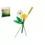 Конструктор LEGO Botanicals Польові квіти, 77 деталей 30701