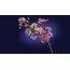 Конструктор LEGO Botanicals Цвет вишни 430 Деталей 40725