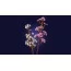 Конструктор LEGO Botanicals Цвет вишни 430 Деталей 40725