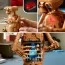 Конструктор LEGO® Ideas E.T. the Extra-Terrestrial Конструктор