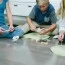 Набір для розкопок 4M Сяючі зуби акули 00-05918 Набір для розкопок 4M Сяючі зуби акули 00-05918