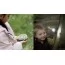 Набір натураліста Hape Nature Fun Дослідження та пригоди 8 в 1 E5581 Набір натураліста Hape Nature Fun Дослідження та пригоди 8 в 1 E5581