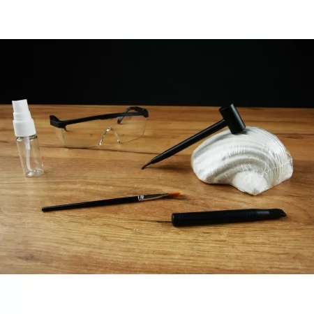 Розкопки динозаврів BabyToys KL 04 для дітей від 3 років