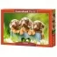 Пазлы Cute Dachshunds 500 элементов Castorland B-53605