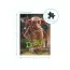 Пазл Harry Potter, Добби, 250 элементов, DoDo 200497 Пазл Harry Potter, Добби, 250 элементов, DoDo 200497