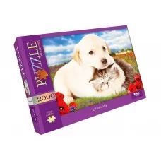 Пазлы Friendship 2000 элементов 66x94 см DankoToys C2000-01-09