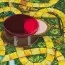 Настольная игра «Джуманджи» SM33610/6072999 Настольная игра «Джуманджи» SM33610/6072999