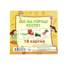 Картки міні, 18 карток, Що росте на городі , Jumbi J018Y