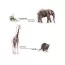 Набор магнитов Zoo photo Magdum ML4031-02 Набор магнитов Zoo photo Magdum ML4031-02