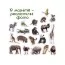 Набор магнитов Zoo photo Magdum ML4031-02 Набор магнитов Zoo photo Magdum ML4031-02