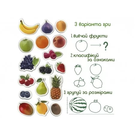 Набор магнитов Fruits and berries Magdum ML4031-11 EN