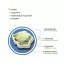Набор магнитов Vegetables Magdum ML4031-12 EN Набор магнитов Vegetables Magdum ML4031-12 EN