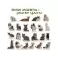 Набір магнітів Breeds of cats Magdum ML4031-13 EN