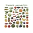 Набор магнитов Fruits and vegetables Magdum ML4031-15 EN Набор магнитов Fruits and vegetables Magdum ML4031-15 EN